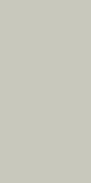 1409 GLX 2 PREX MICA HANGER FROSTY WHITE 2440MMX1220MM GLITTER LAMINATE 1 mm