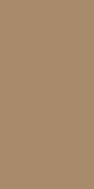 1815 GLX 5 PREX MICA HANGER GOLDEN GLACIER 2440MMX1220MM LAMINATE 1 mm scaled