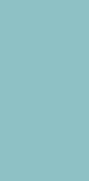 1956 FLD 3 MICA HANGER PARADISE GREEN 2440MMX1220MM FLUTED LAMINATE 1 mm