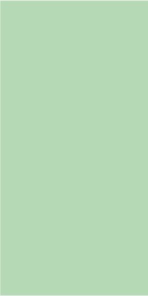 1975 SHG MICA DREAM GREEN 2440MMX1220MM SUPERLATIVE HIGH GLOSS LAMINATE 1 mm scaled