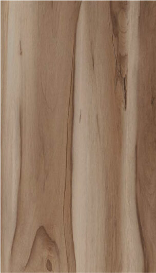 2494 HG Forest Pine 8 ft x 4 ft Mirror finish Decorative Laminate 0.8 mm