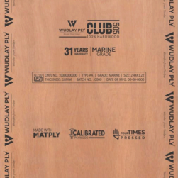Wudlay Club 505 8 ft x 4 ft BWP Grade Plywood 19 mm