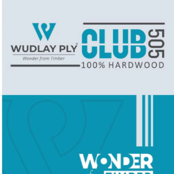 club 505 n banner 2