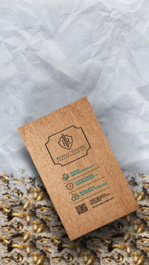 Plywood Catalogue RTPP 2024 01 10