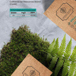 Plywood Catalogue RTPP 2024 01 9