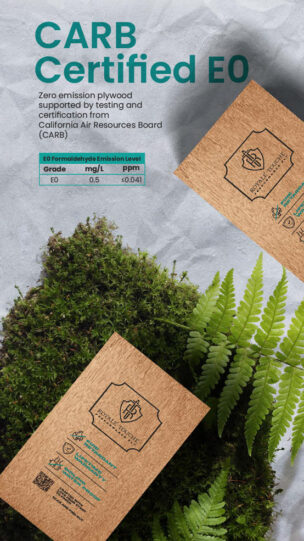 Plywood Catalogue RTPP 2024 01 9