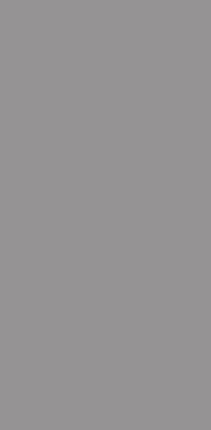 121SILVER MIRROR