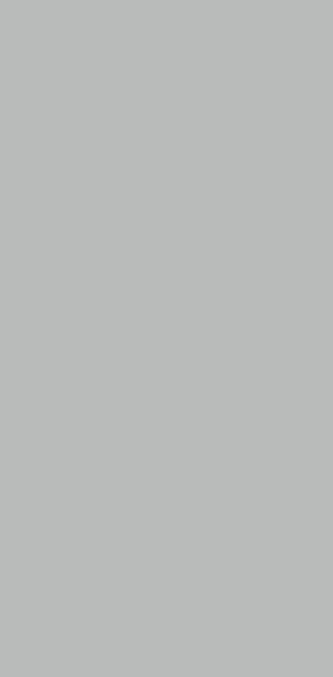 203SPARKLE LIGHT GREY