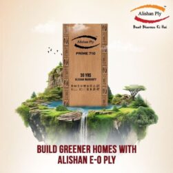 Alishan Plywood1